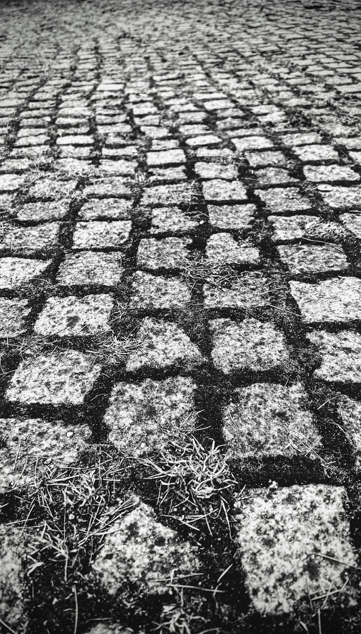 Detalhe de paver com mato e grama crescendo nas juntas entre as peças